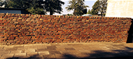 Image 06